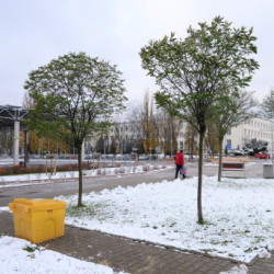 Pierwszy śnieg w Warszawie