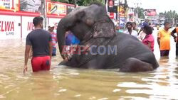 Colombo flooded after monsoon storm batters Sri Lanka - AFP