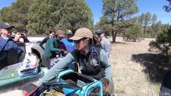 Cute Mexican Wolf Pups Bring New Hope For Endangered Species