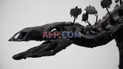 The biggest Stegosaurus skeleton ever reconstructed to be auctioned at Sotheby's - AFP