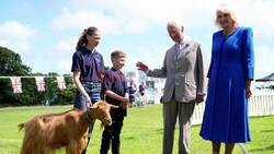 Rare Golden Guernsey Goat Breed Gets Royal Patronage From King Charles III