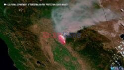 Wildfire Smoke Linked to Increased Dementia and Cognitive Risks, Studies Show