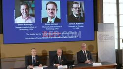 Daron Acemoglu, Simon Johnson, James Robinson announced as economics Nobel laureates - AFP