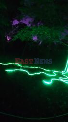 The First Halloween light trail comes to Kew Gardens