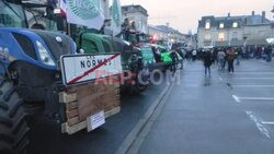 French farmers protest EU-Mercosur deal - AFP