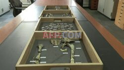 Human ancestor Lucy still fascinates 50 years after discovery - AFP