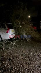 Large Tree blown over onto a car in Birmingham as Storm Darragh's high winds continue