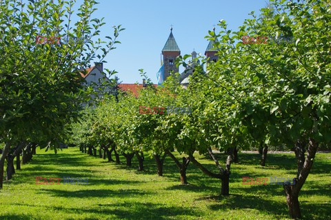 Mazowsze Marek Bazak