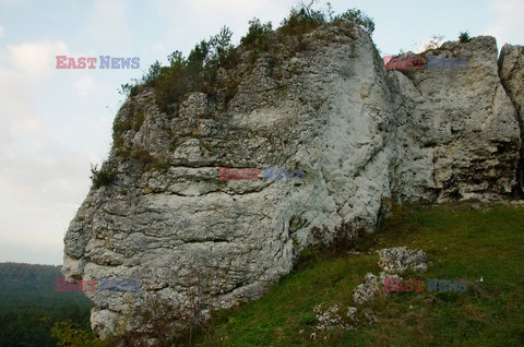 Śląskie MaBa