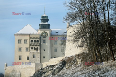 Polska Monk