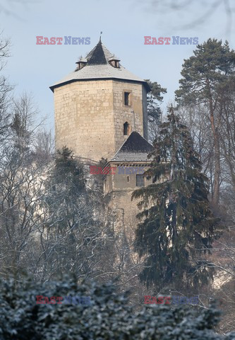 Polska Monk