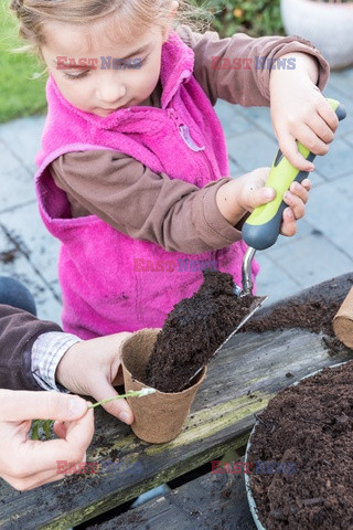 Bios Gardens ftp July 2017