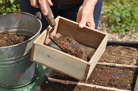 Bios Gardens ftp July 2017