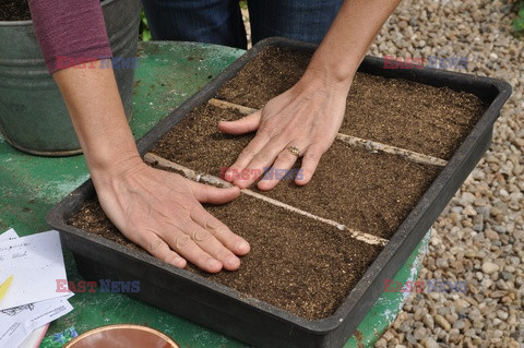 Bios Gardens ftp July 2017