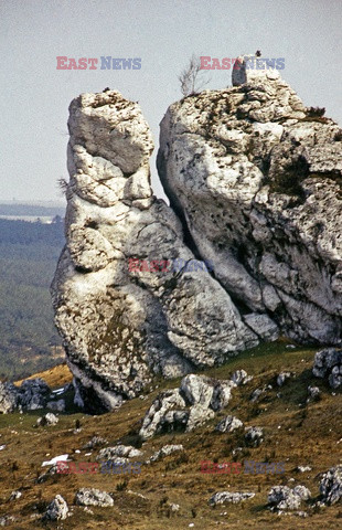 Zamki i pałace Polski