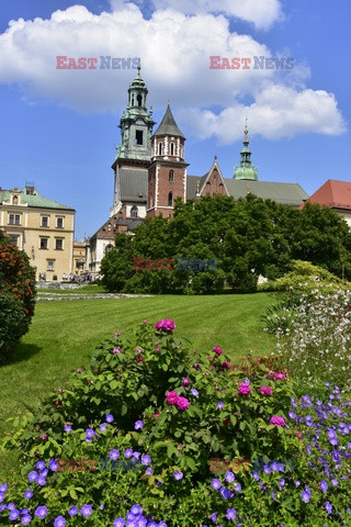 Kraków Albin Marciniak