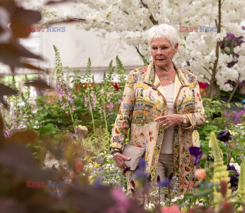 Judy Dench na Chelsea Flower Show