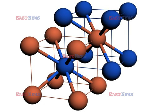 Science Source January 20, 2009 DVD