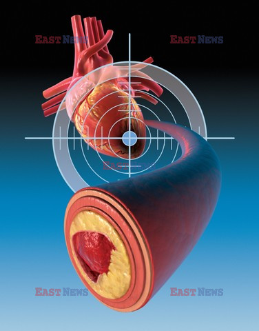 Science Source December 28, 2009 DVD