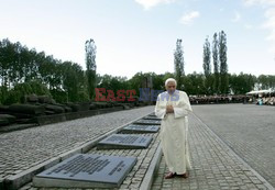 Auschwitz - Birkenau