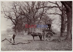 Victoria and Albert Museum - Royal Photographic Society