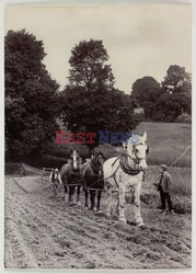 Victoria and Albert Museum - Royal Photographic Society