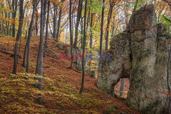 OJCOWSKI PARK NARODOWY AdLa