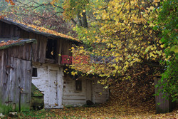 OJCOWSKI PARK NARODOWY AdLa