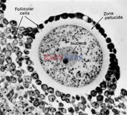 Science Source Feb 2010