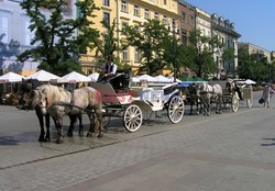 Miasta i miasteczka Polski KCh