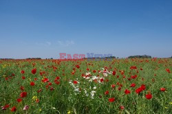 Podlasie Marek Bazak