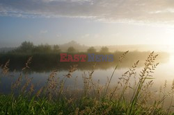 Podlasie Marek Bazak