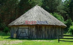 Podlasie Marek Bazak