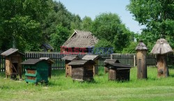 Podlasie Marek Bazak