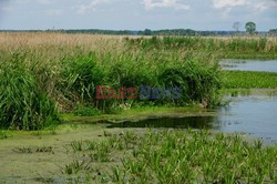 Podlasie Marek Bazak