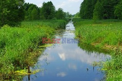 Podlasie Marek Bazak