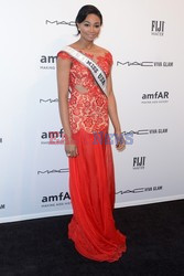 Gala amfAR