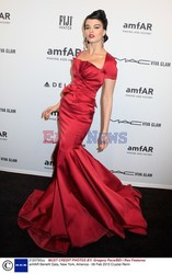 Gala amfAR