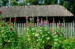 Podlasie Marek Bazak