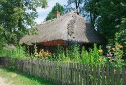 Podlasie Marek Bazak