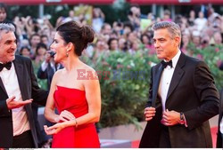 Venice International Film Festival 