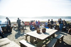 Hog Island Oyster Company