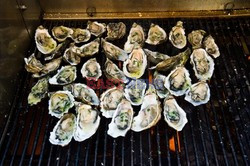 Hog Island Oyster Company