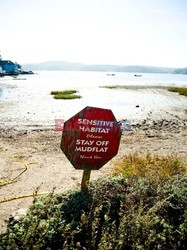 Hog Island Oyster Company