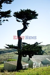 Point Reyes Farmers Market