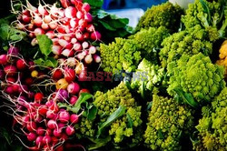 Point Reyes Farmers Market