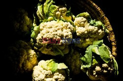 Point Reyes Farmers Market