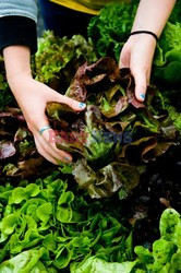 Point Reyes Farmers Market