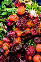 Point Reyes Farmers Market