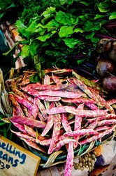 Point Reyes Farmers Market